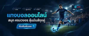 สมัคร สมาชิก ufabet